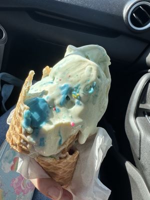 Bruster's Real Ice Cream by null