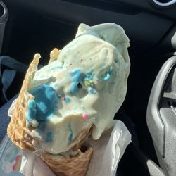 Bruster's Real Ice Cream - Waffle cone