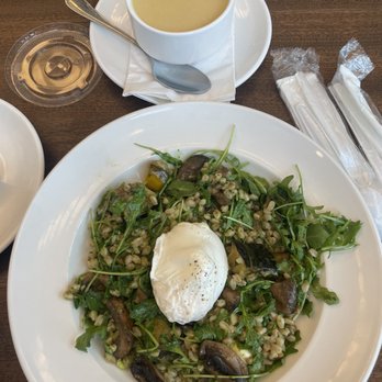 Tatte Bakery & Cafe | Capitol Crossing - Mushroom & Squash Farro Bowl and a cup of roasted lentil soup - Breakfast & Brunch Near Me - Washington, DC, District of Columbia