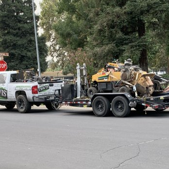 Travis Tree Service - Responsive service - Tree Services Near Me - Fresno, California Travis Tree Service - Responsive service - Tree Services Near Me - Fresno, California