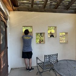 Davis Mountains State Park - Bird watching