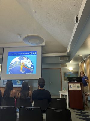 Hawaiian Islands Humpback Whale National Marine Sanctuary Visitor Center by null