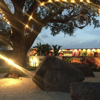 Wynwood Doors - Tree with lights I love! - Art Galleries Near Me - Miami, Florida Wynwood Doors - Tree with lights I love! - Art Galleries Near Me - Miami, Florida