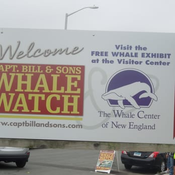 Capt Bill & Sons Whale Watch - Boat Charters Near Me - Gloucester, Massachusetts