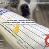 Safe Navigation gift card