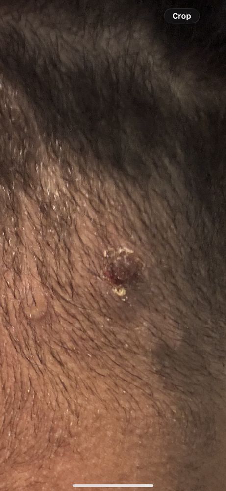 Buster The Barber Logo