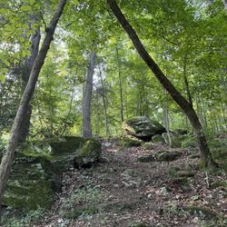 Bear Creek Trail