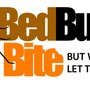 Photo of Bed Bugs Bite