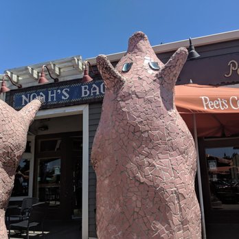 Noah's NY Bagels - Bagels Near Me - Davis, California Noah's NY Bagels - Bagels Near Me - Davis, California