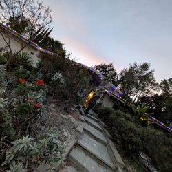 Christmas Light Guys