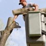 Photo of Becker Tree Service