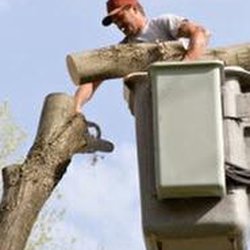 Becker Tree Service