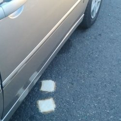 Dollar General - I came to buy bread but I found it in the parking lot for free instead Bwaahaha ewww