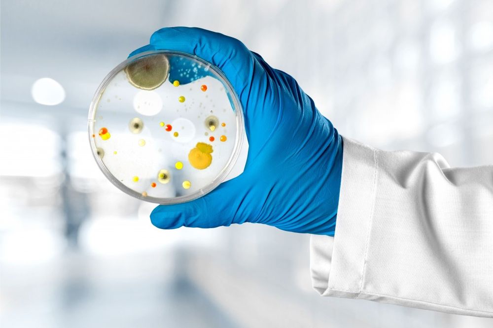 CVS Environmental Testing - mold inspector in Atlanta, GA