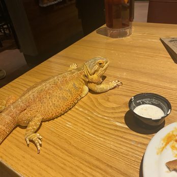 Chili's - Bars Near Me - Hammond, Louisiana