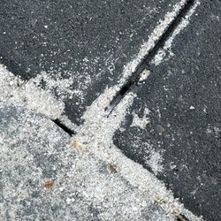 30A Vacay - Ants between the wall gaps