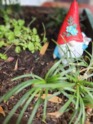 Dutch Garden Restaurant by null