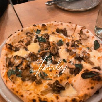A16 - Funghi Pizza - Italian Near Me - San Francisco, California A16 - Funghi Pizza - Italian Near Me - San Francisco, California