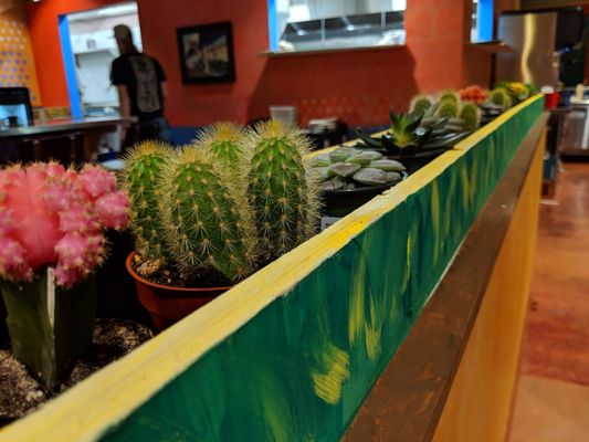 Woody's Tacos by null