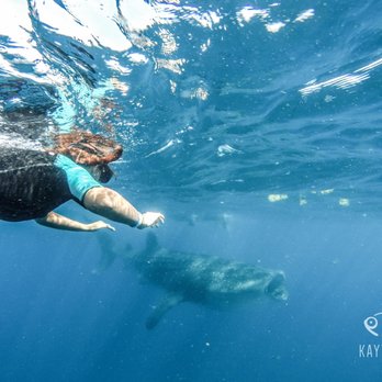 Kay Tours Mexico - Snorkeling Near Me - Playa del Carmen, ROO Kay Tours Mexico - Snorkeling Near Me - Playa del Carmen, ROO