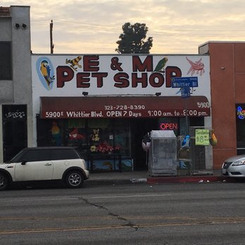 E & M Pet Shop - Pet Stores Near Me - Los Angeles, California