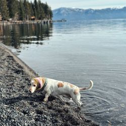 Patton Beach
