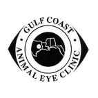Vivid Gulf Coast Animal Eye Photo for Your Screen Vivid Gulf Coast Animal Eye Photo for Your Screen