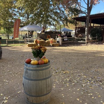 DA Ranch - Wineries Near Me - Cornville, Arizona