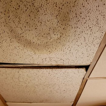 Magnuson Grand DeSoto - The ceiling in our room. - Hotels Near Me - Desoto, Texas Magnuson Grand DeSoto - The ceiling in our room. - Hotels Near Me - Desoto, Texas