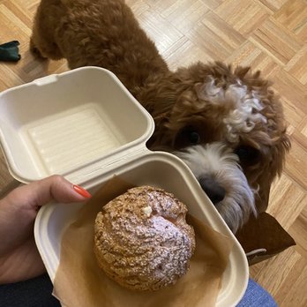 AlimamaTea - Even my pup wants some - Desserts Near Me - New York, New York