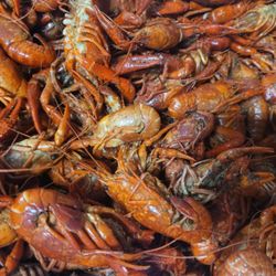 Seafood Shack By The Tracks