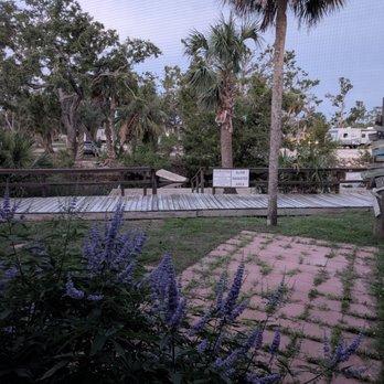 Fiddler's Restaurant and Resort - Seafood Near Me - Steinhatchee, Florida