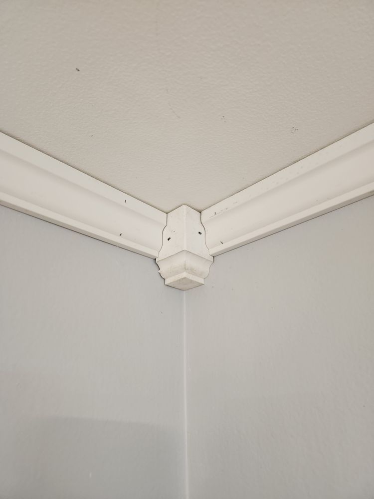 Slide of I Know A Guy Services