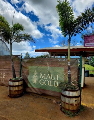 Maui Pineapple Tour by null