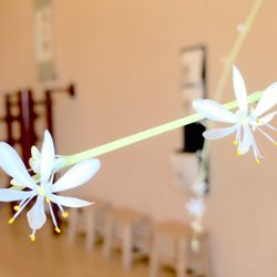 WingChun Berkeley