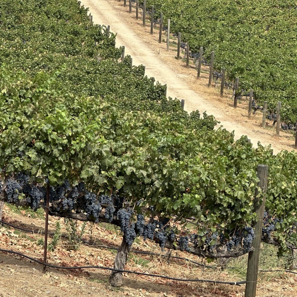 Oak Mountain Winery - Wineries Near Me - Temecula, California Oak Mountain Winery - Wineries Near Me - Temecula, California
