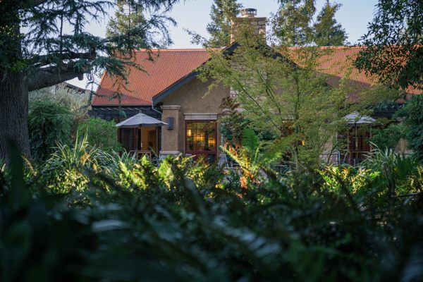 Harney Lane Vineyards by null