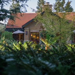 Harney Lane Vineyards