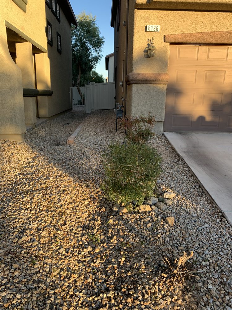 Jefferson's Irrigation & Maintenance - tree service in Las Vegas, NV