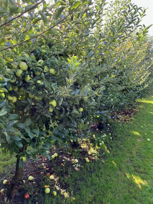 Beilke Family Farm by null