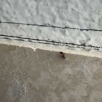 JBC Termite & Pest Control - Pest Control Near Me JBC Termite & Pest Control - Pest Control Near Me