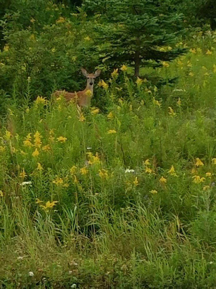 Social spots from Langley Outdoors