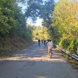 Fat Tire Bike Rentals