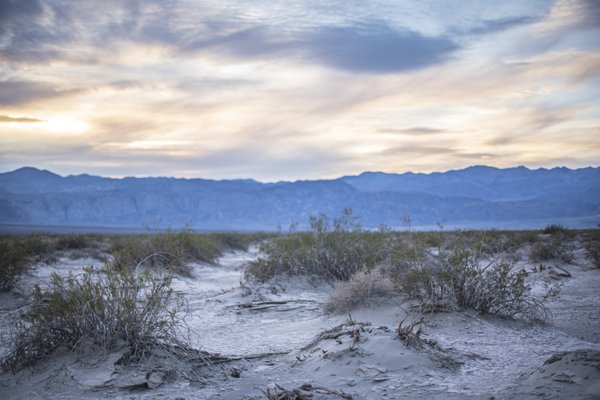 Mesquite Spring Campground by null
