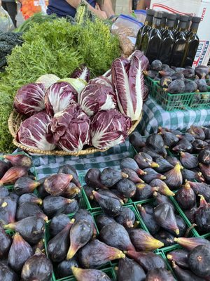 The Vineyard Farmer's Market by null