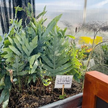 Grow + Gather - Attraction Farms Near Me - Englewood, Colorado