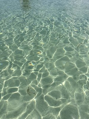 Playa La Chiva by null