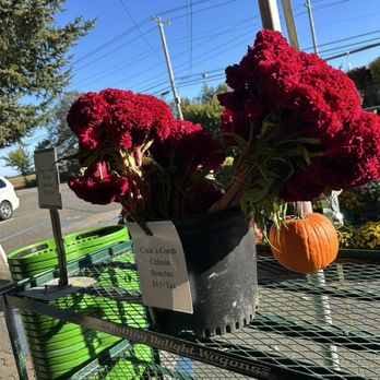 Briermere Farms - Bakeries Near Me - Riverhead, New York