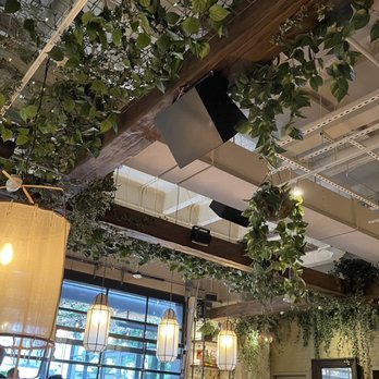 Aba - Dining room - Mediterranean Near Me - Austin, Texas Aba - Dining room - Mediterranean Near Me - Austin, Texas