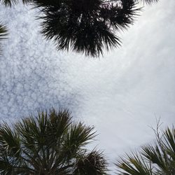 Ballard Park